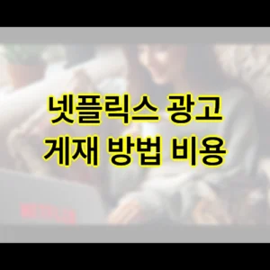넷플릭스 광고 게재 방법 및 비용 넷플릭스 광고 게재 방법 및 비용