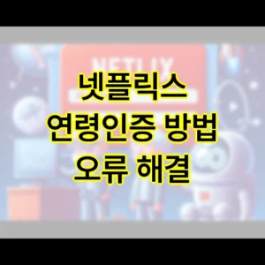 넷플릭스 연령인증 방법 오류 해결 넷플릭스 연령인증 방법 오류 해결