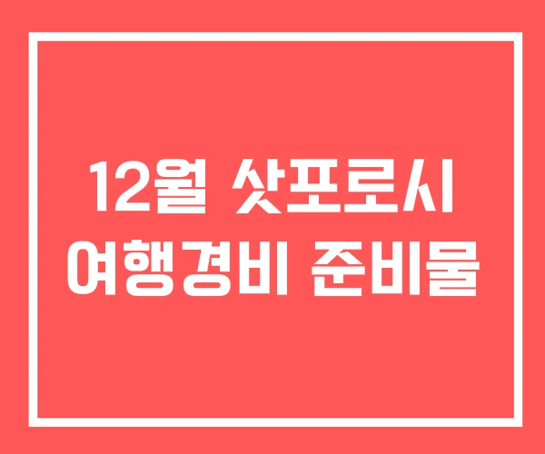12월 삿포로시 여행경비 준비물