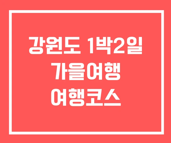 강원도 1박2일 가을여행 여행코스