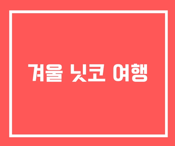 겨울 닛코 여행