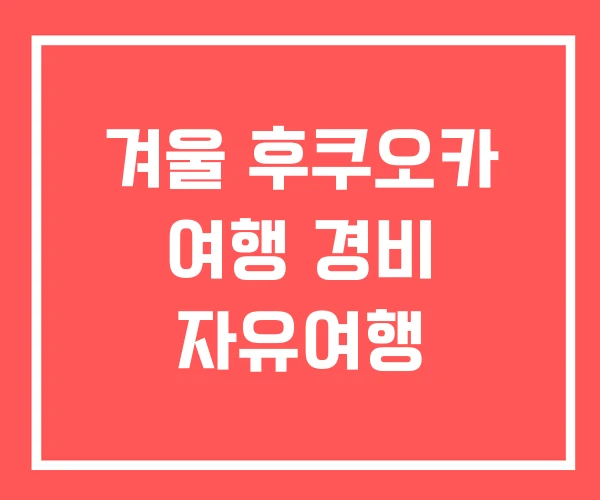겨울 후쿠오카 여행 경비 자유여행