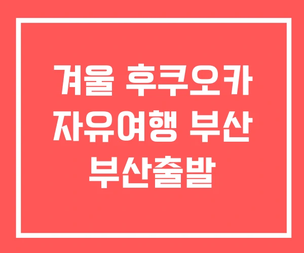 겨울 후쿠오카 자유여행 부산 부산출발