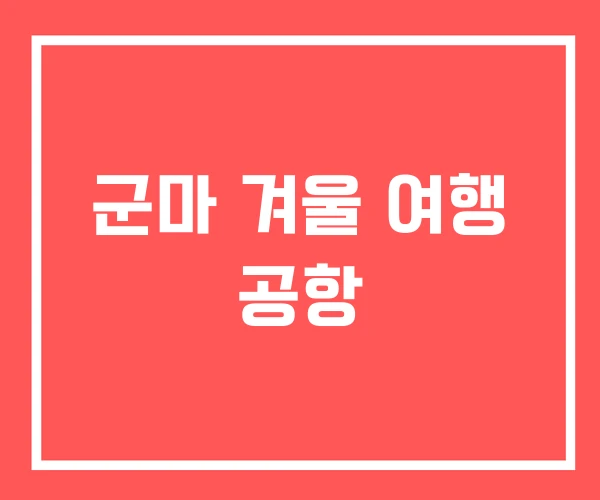 군마 겨울 여행 공항