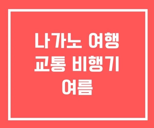 나가노 여행 교통 비행기 여름