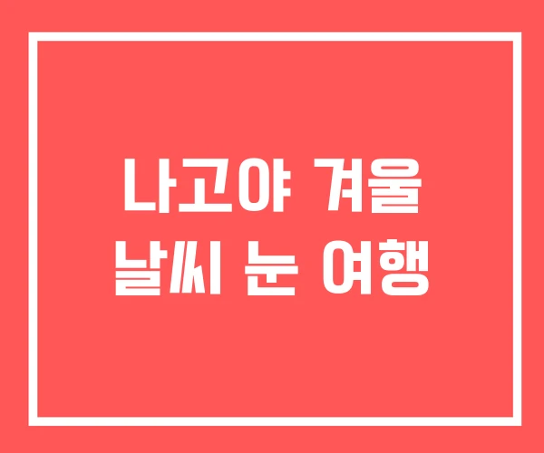 나고야 겨울 날씨 눈 여행