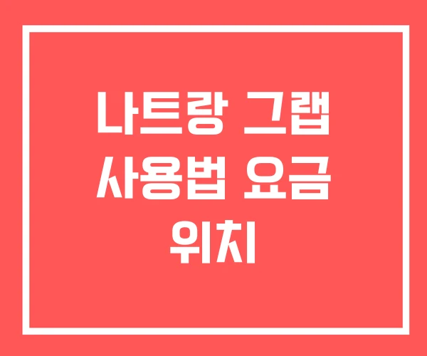 나트랑 그랩 사용법 요금 위치