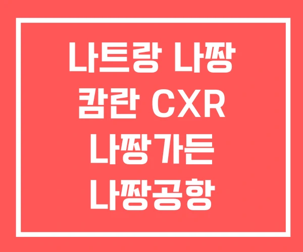 나트랑 나짱 캄란 CXR 나짱가든 나짱공항 나트랑 나짱 캄란 CXR 나짱가든 나짱공항