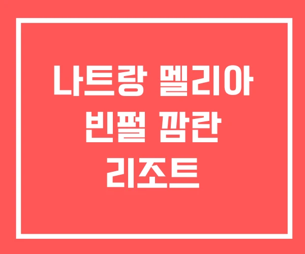 나트랑 멜리아 빈펄 깜란 리조트 나트랑 멜리아 빈펄 깜란 리조트