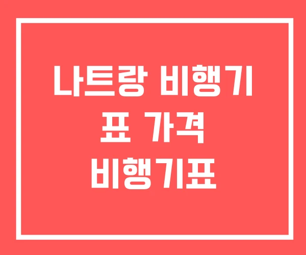 나트랑 비행기 표 가격 비행기표