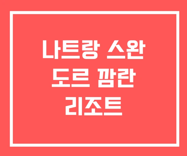 나트랑 스완 도르 깜란 리조트