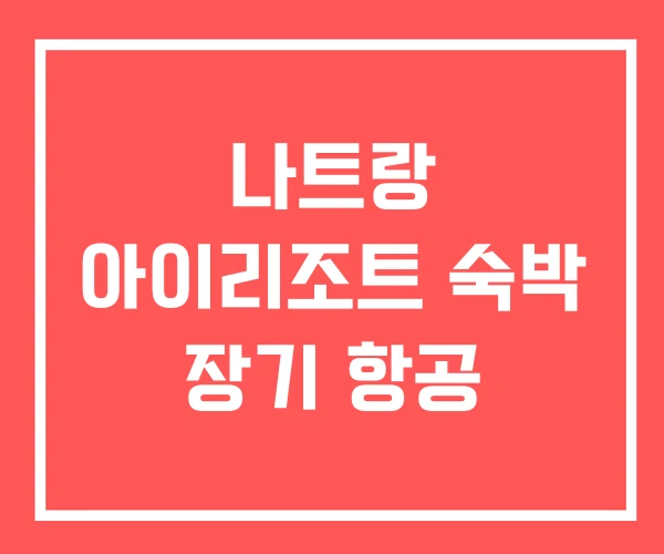 나트랑 아이리조트 숙박 장기 항공