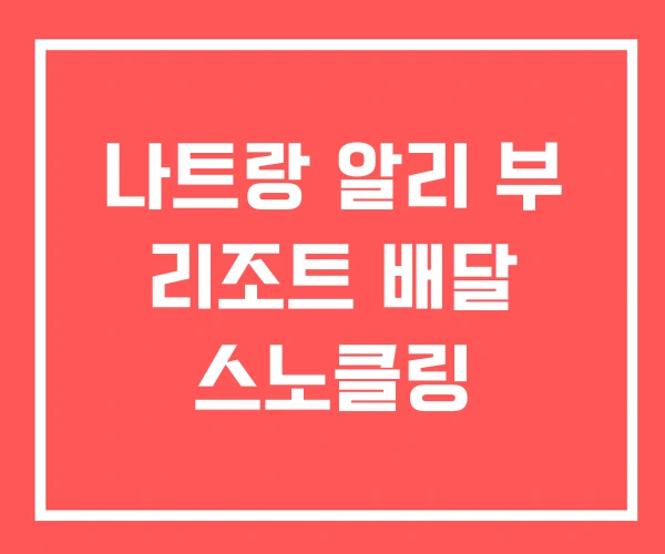 나트랑 알리 부 리조트 배달 스노클링