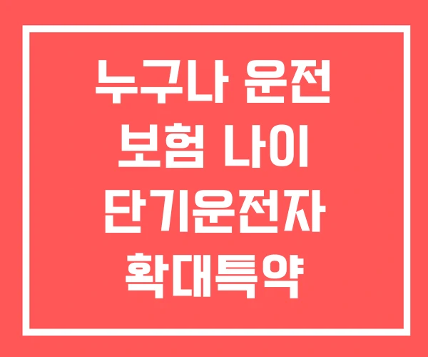 누구나 운전 보험 나이 단기운전자 확대특약 삼성화재