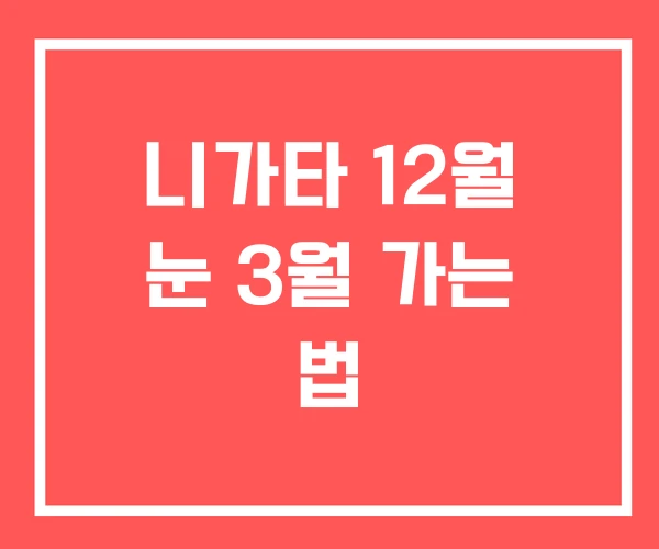 니가타 12월 눈 3월 가는 법 니가타 12월 눈 3월 가는 법
