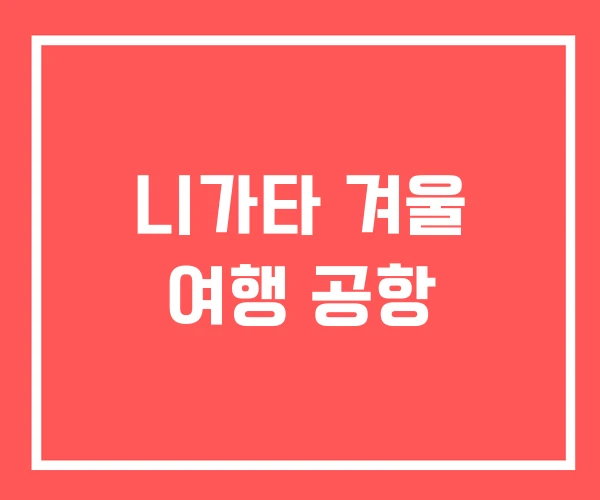 니가타 겨울 여행 공항