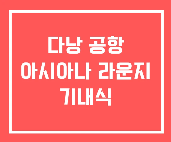 다낭 공항 아시아나 라운지 기내식