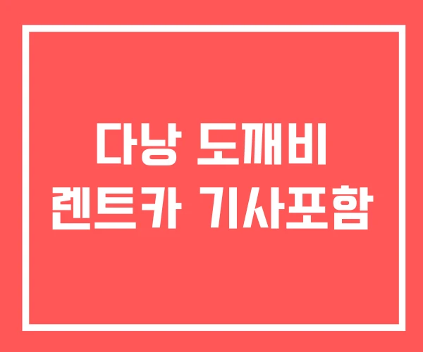 다낭 도깨비 렌트카 기사포함