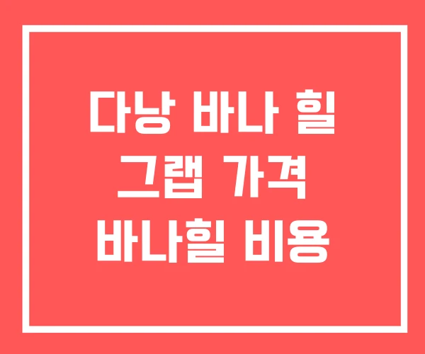 다낭 바나 힐 그랩 가격 바나힐 비용