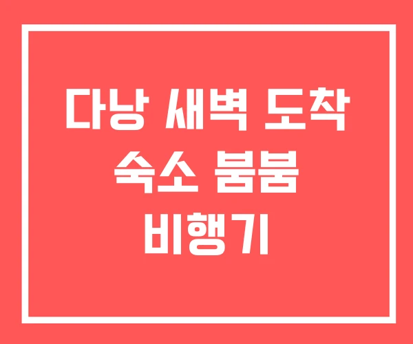 다낭 새벽 도착 숙소 붐붐 비행기