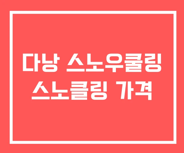 다낭 스노우쿨링 스노클링 가격