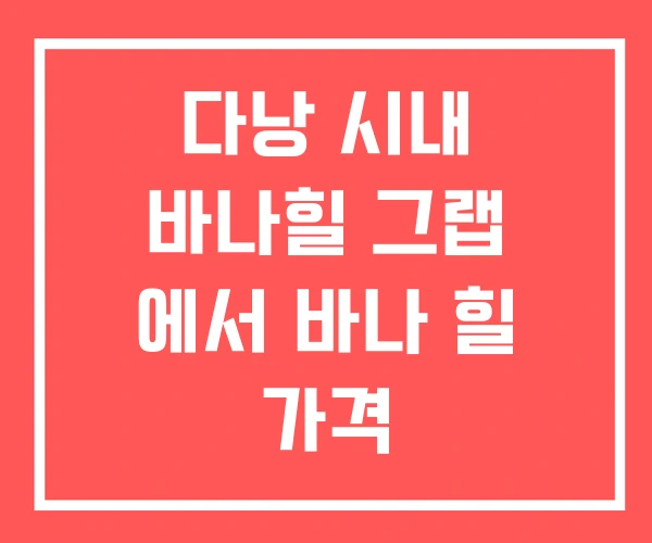 다낭 시내 바나힐 그랩 에서 바나 힐 가격