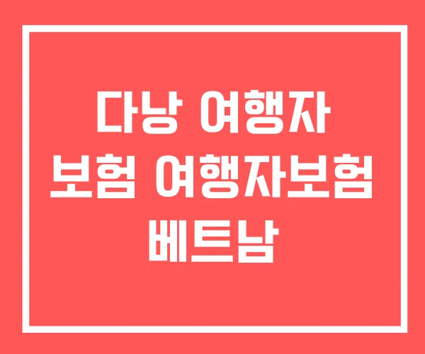 다낭 여행자 보험 여행자보험 베트남