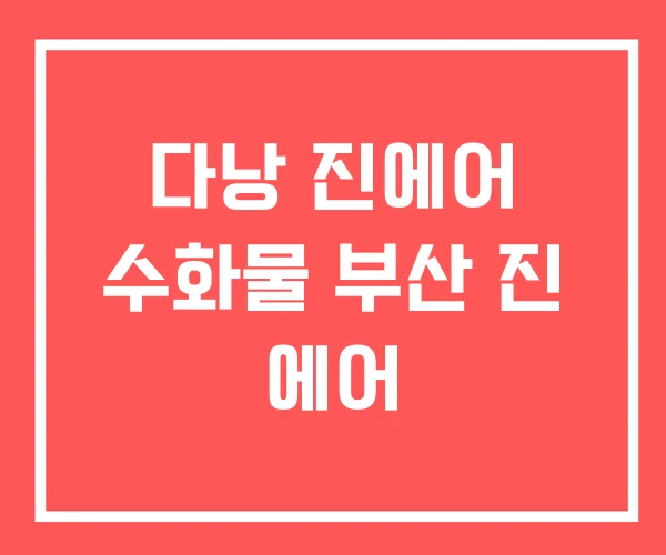 다낭 진에어 수화물 부산 진 에어