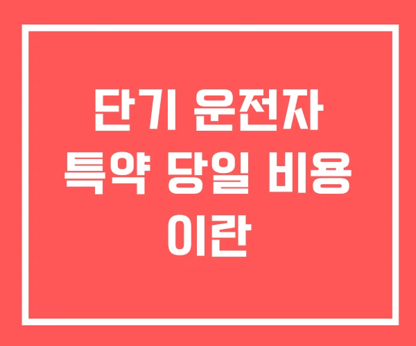 단기 운전자 특약 당일 비용 이란