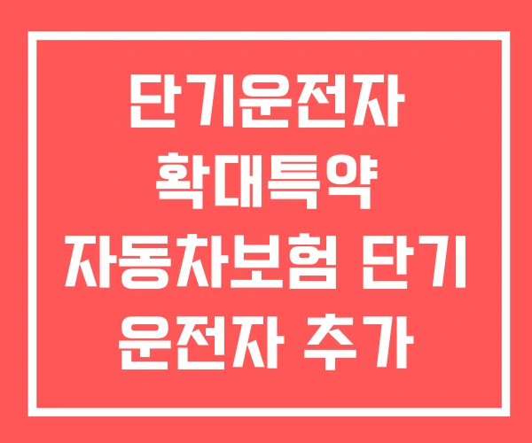 단기운전자 확대특약 자동차보험 단기 운전자 추가 비용