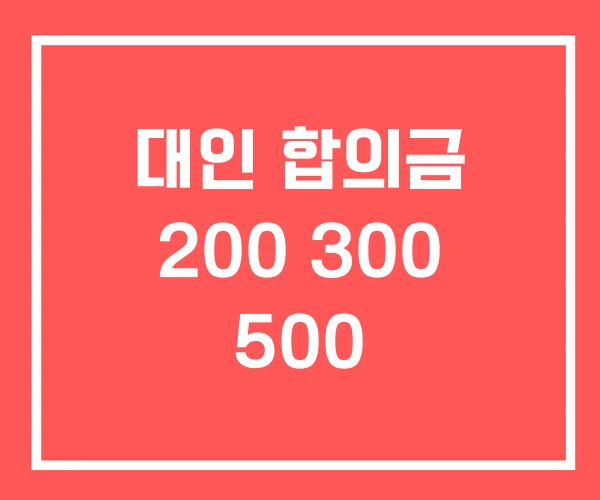 대인 합의금 200 300 500 대인 합의금 200 300 500