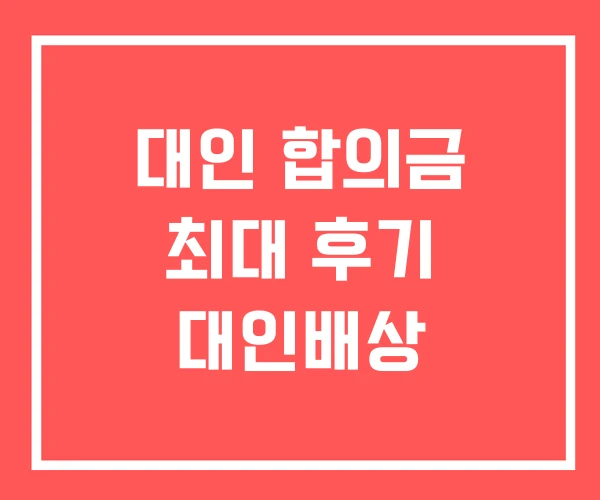 대인 합의금 최대 후기 대인배상 대인 합의금 최대 후기 대인배상