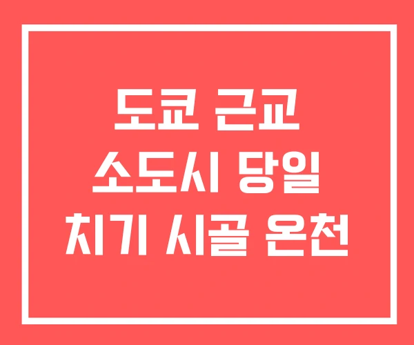 도쿄 근교 소도시 당일 치기 시골 온천