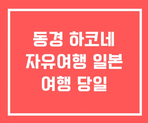 동경 하코네 자유여행 일본 여행 당일