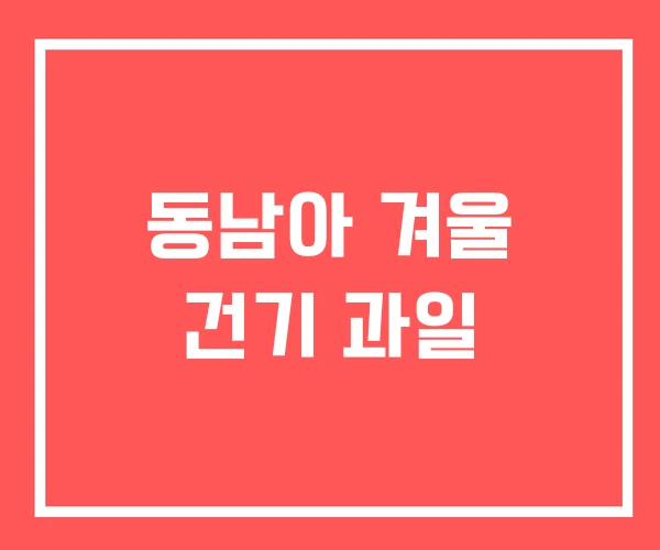 동남아 겨울 건기 과일 동남아 겨울 건기 과일