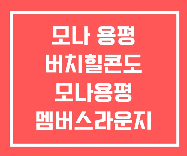 모나 용평 버치힐콘도 모나용평 멤버스라운지 버치힐 콘도