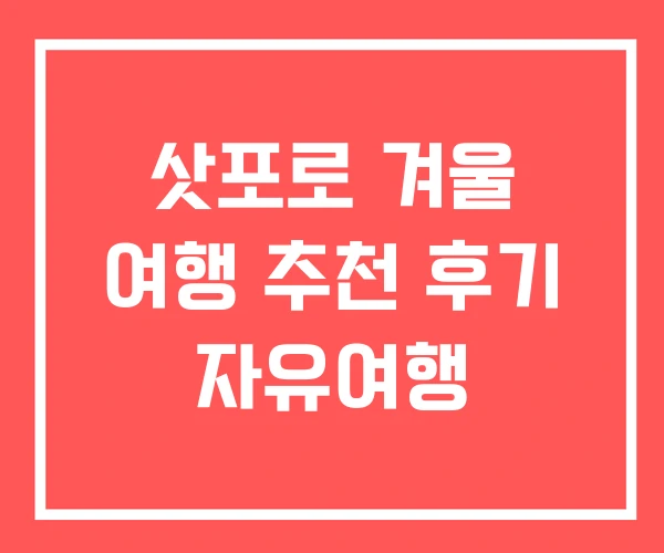 삿포로 겨울 여행 추천 후기 자유여행