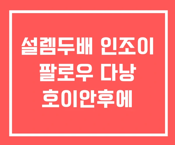 설렘두배 인조이 팔로우 다낭 호이안후에 설렘두배 인조이 팔로우 다낭 호이안후에