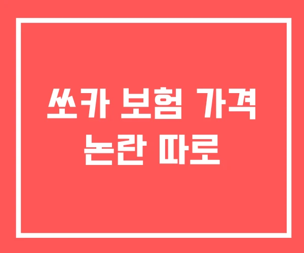쏘카 보험 가격 논란 따로
