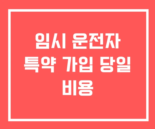 임시 운전자 특약 가입 당일 비용