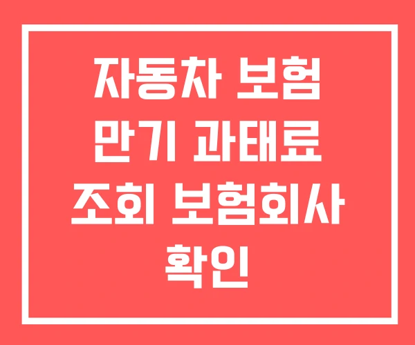 자동차 보험 만기 과태료 조회 보험회사 확인