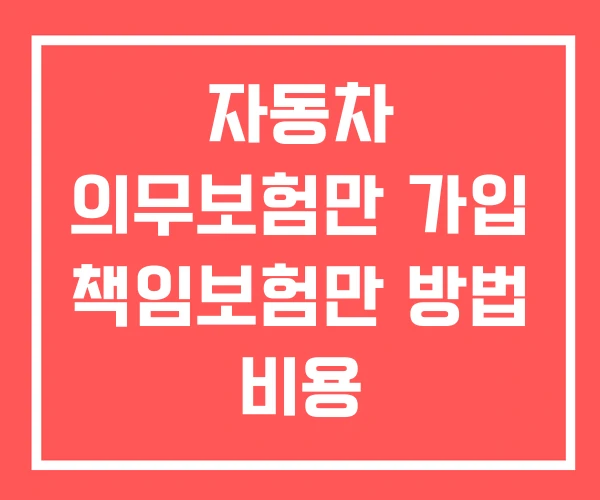 자동차 의무보험만 가입 책임보험만 방법 비용