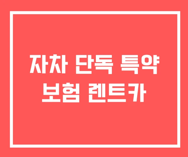 자차 단독 특약 보험 렌트카