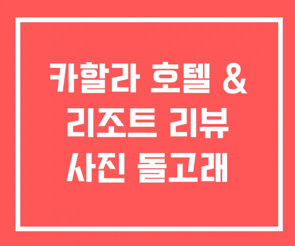 카할라 호텔 & 리조트 리뷰 사진 돌고래