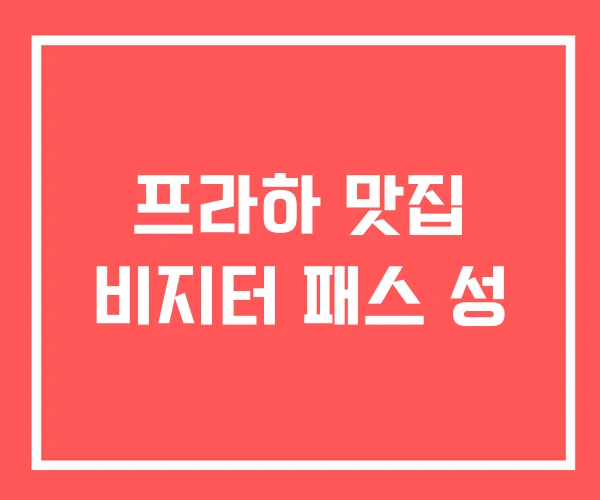 프라하 맛집 비지터 패스 성 프라하 맛집 비지터 패스 성