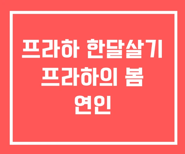 프라하 한달살기 프라하의 봄 연인