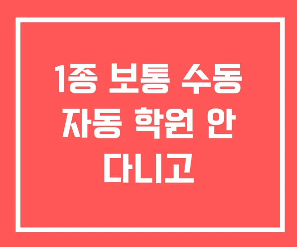 1종 보통 수동 자동 학원 안 다니고