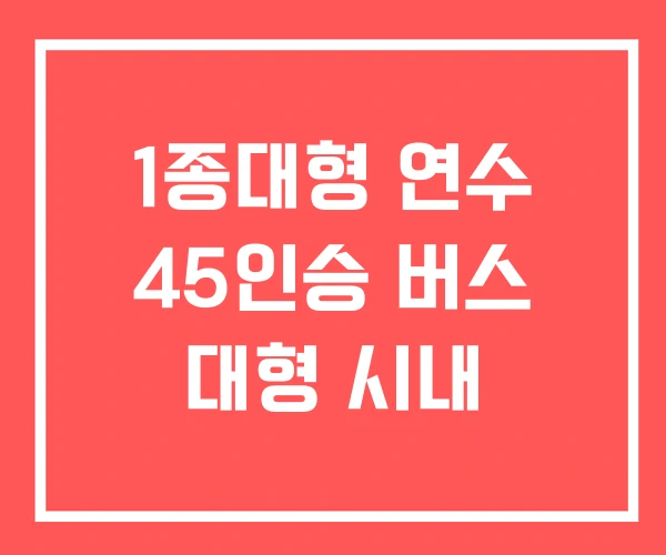 1종대형 연수 45인승 버스 대형 시내 1종대형 연수 45인승 버스 대형 시내