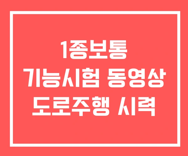 1종보통 기능시험 동영상 도로주행 시력