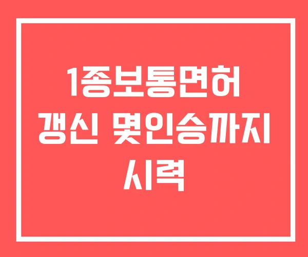 1종보통면허 갱신 몇인승까지 시력